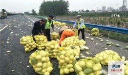 河南闺蜜吃瓜,揭秘娱乐圈背后的那些事儿