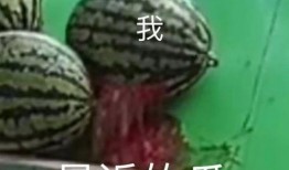 专业吃瓜满级人类,揭秘娱乐圈幕后真相