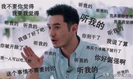 黑脸吃瓜群众大笑,黑脸吃瓜群众笑翻全场