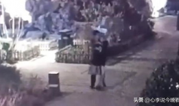 天津吃瓜事件视频,一场网络热议的真相揭秘