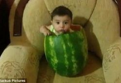 小朋友吃瓜视频