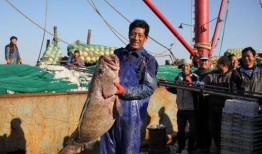 舟山吃瓜渔民事件,一场引发社会关注的海洋争议