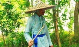 项羽吃瓜,揭秘古代战场上的闲情逸致