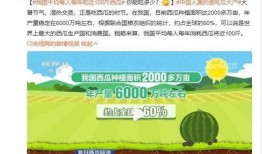 吃瓜.中国网站,网络舆论场上的热点追踪与深度解析