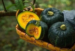 板栗瓜怎么吃啊