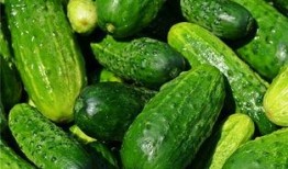 梦到吃黑瓜,揭秘黑瓜的神秘寓意