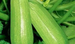 小依吃瓜,揭秘娱乐圈那些不为人知的幕后故事