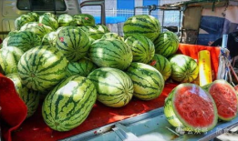 瓜贩子可以吃吗,揭秘街头美食的诱惑与安全