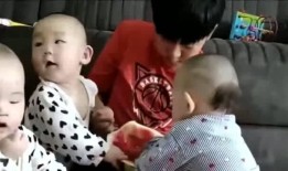 吃瓜三胞胎,揭秘娱乐圈的甜蜜“瓜田”生活