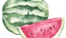 何秋事吃瓜解析,揭秘娱乐圈背后的真相与争议