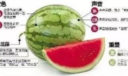 微信区吃瓜,揭秘网络社交背后的八卦风云