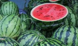 100个吃瓜,揭秘100种瓜果的奇妙世界