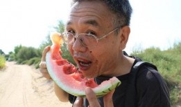 吃瓜动作是什么,夏日消暑的趣味瞬间