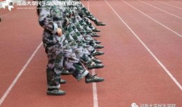 舞台军训舞台吃瓜,一场别开生面的青春盛宴