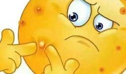 吃瓜表情大黄脸,揭秘网络红人的魅力与争议