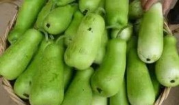 葫芦瓜吃哪个部位,从藤蔓到籽，哪个部位最营养？