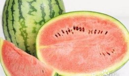 拉肚可以吃瓜么,吃瓜真的可行吗？揭秘瓜类食物的利与弊