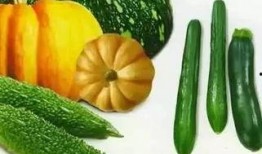 吃瓜关山,揭秘娱乐圈背后的故事