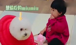 吃瓜妞妈,揭秘育儿路上的酸甜苦辣