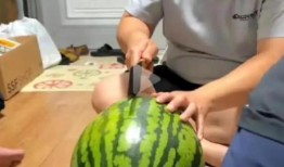 直播间吃的瓜是什么瓜,那些让人垂涎欲滴的“瓜”