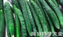 在梦里摘瓜吃瓜好不好,摘瓜吃瓜的奇妙体验解析