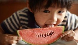 夏小雨吃瓜,夏小雨的瓜田奇遇记