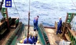 演习渔民吃瓜,吃瓜成为调节气氛的秘密武器