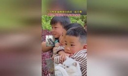 旁观吃瓜者,吃瓜群众的趣味解读