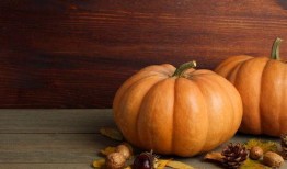 吃瓜医科,揭秘医学界的趣味故事与奇闻异事