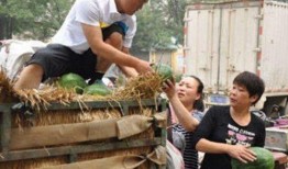 民和县女子吃瓜,揭秘背后真相与网络热议