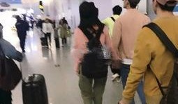 武大辅导员吃瓜事件