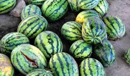 没吃懂的瓜,揭秘那些让人一头雾水的八卦传闻