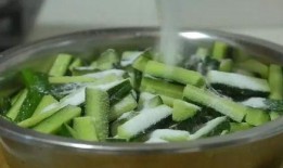 百吃不厌的葫芦瓜怎么吃,解锁百吃不厌的美食新境界