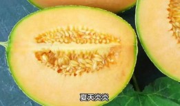 冻哈密瓜吃,冻哈密瓜的清凉诱惑