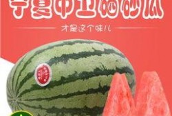 吃瓜山寨品,模仿潮流还是抄袭侵权？