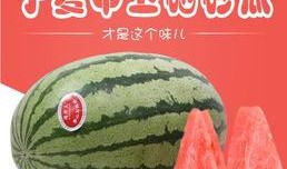 吃瓜山寨品,模仿潮流还是抄袭侵权？