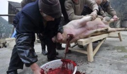 杀猪吃瓜,揭秘农村生活的酸甜苦辣