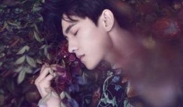 杨洋吃瓜群众笑,娱乐圈的欢乐瞬间