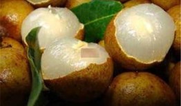 早孕敢吃蒲瓜吗,蒲瓜食用指南