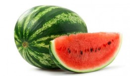 兰瓜破土多久可以吃,揭秘成熟时间与品尝佳期