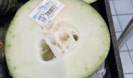 成都直播吃瓜,一场美食与娱乐的盛宴