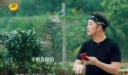 导演吃瓜事件真相,揭秘背后真相与争议