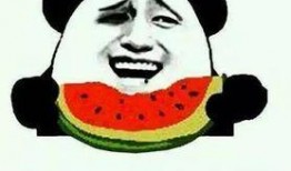 2024吃瓜事件,盘点那些令人捧腹的娱乐圈风云