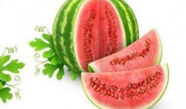 有关吃瓜的演讲,一场关于网络舆论的演讲回顾