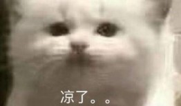 小虎吃瓜亲戚,揭秘亲戚间的那些事