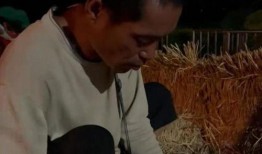 梦见给伟人送瓜吃,瓜果传递与伟人的神秘邂逅