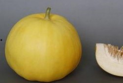 吃避孕可以吃哈密瓜吗,哈密瓜能吃吗？营养与安全解析