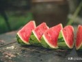 到了吃瓜的季节,畅享清凉吃瓜季