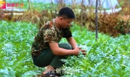 回隆吃瓜视频,揭秘网络热点的背后故事