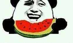 猪吃卧瓜,探寻猪与卧瓜的奇妙缘分